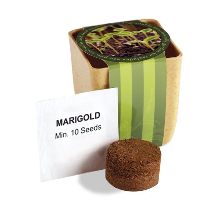 Flower Pot Set With Marigold Seeds Thumbnail